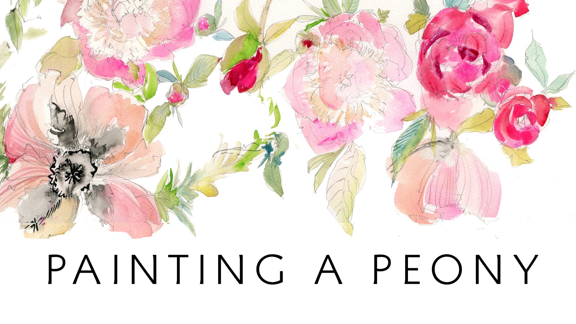 1920x1080 Watercolor Peony Wallpaper Group