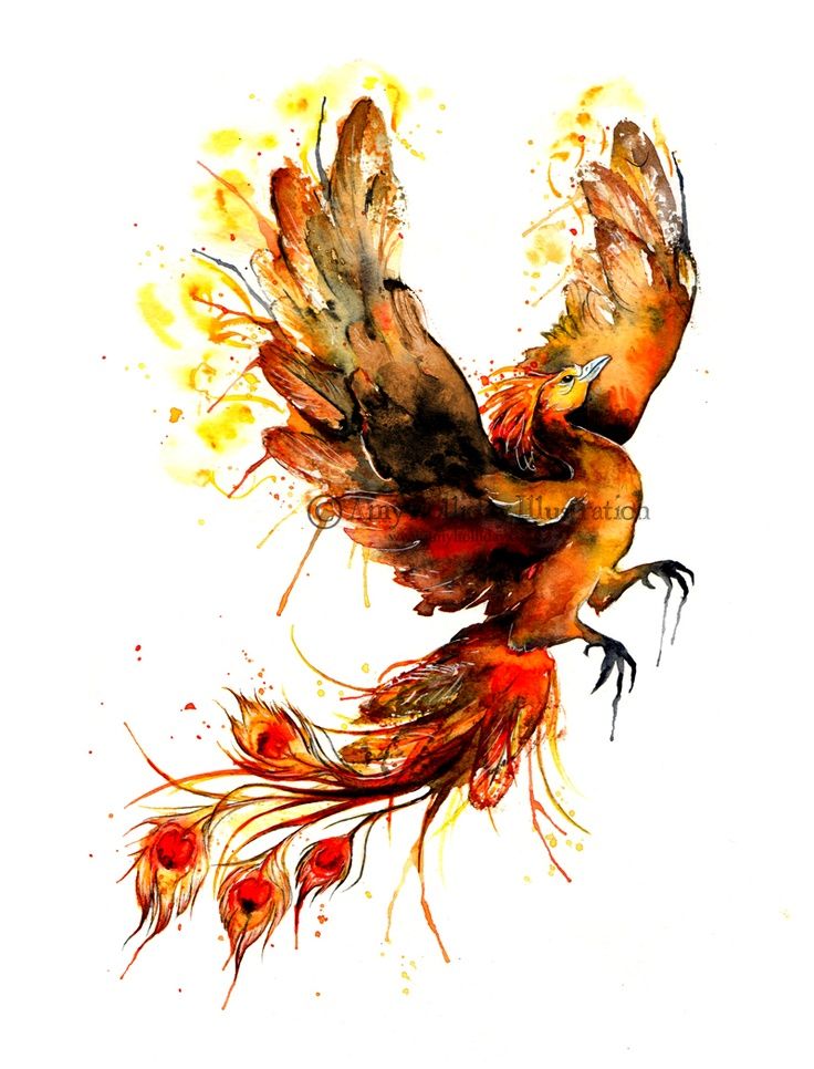 736x966 Watercolor Phoenix Tattoo