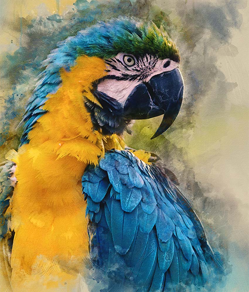 850x997 How To Create Cool Watercolor Effects In Photoshop