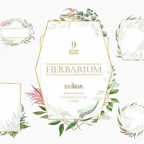 570x570 Watercolor Frames, Leaves, Pre Made Clipart, Green Floral, Gold