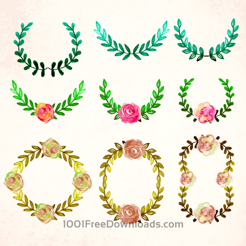 800x800 Free Vectors Watercolor Vector Frames And Leaves Flowers