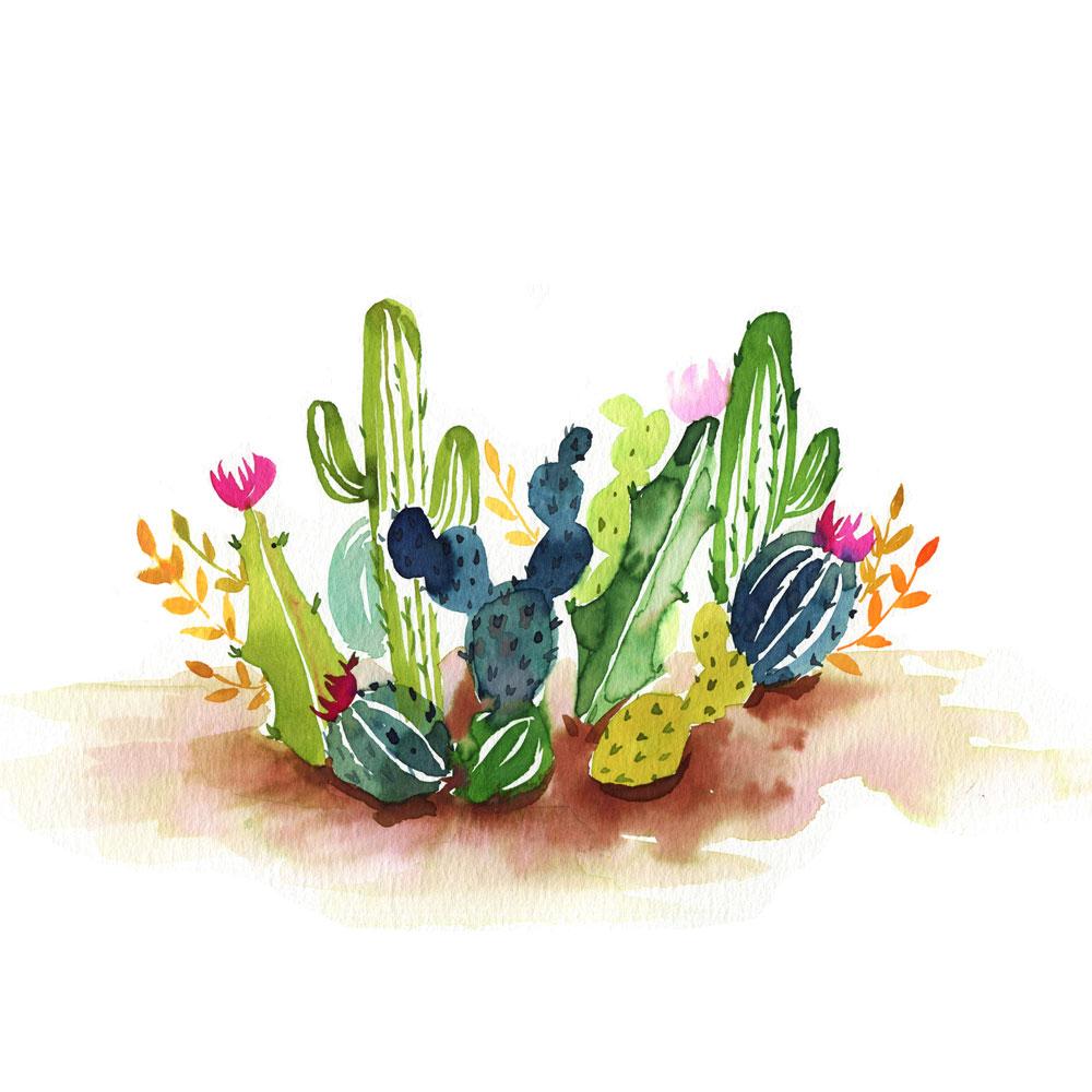 1000x1000 Desert Cactus Watercolor Paint Kit