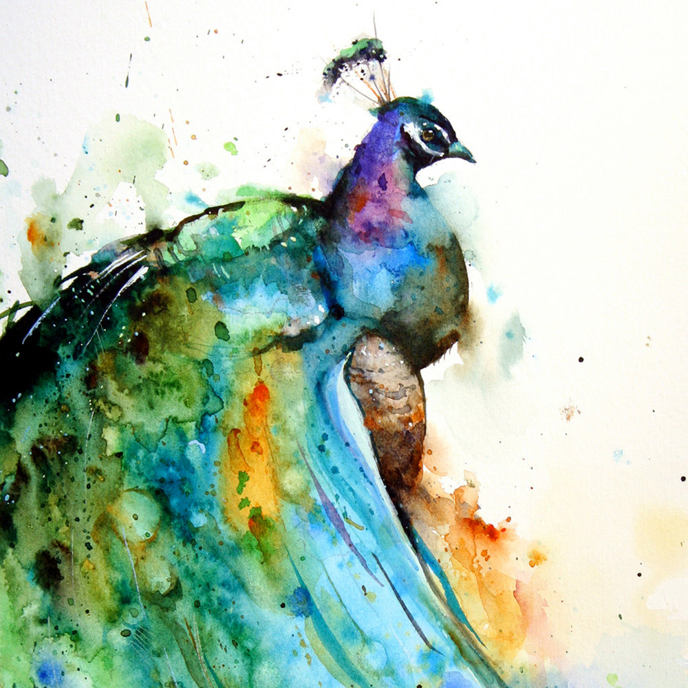 1000x1000 Simply Creative Watercolor Animals Paintings By Dean Crouser