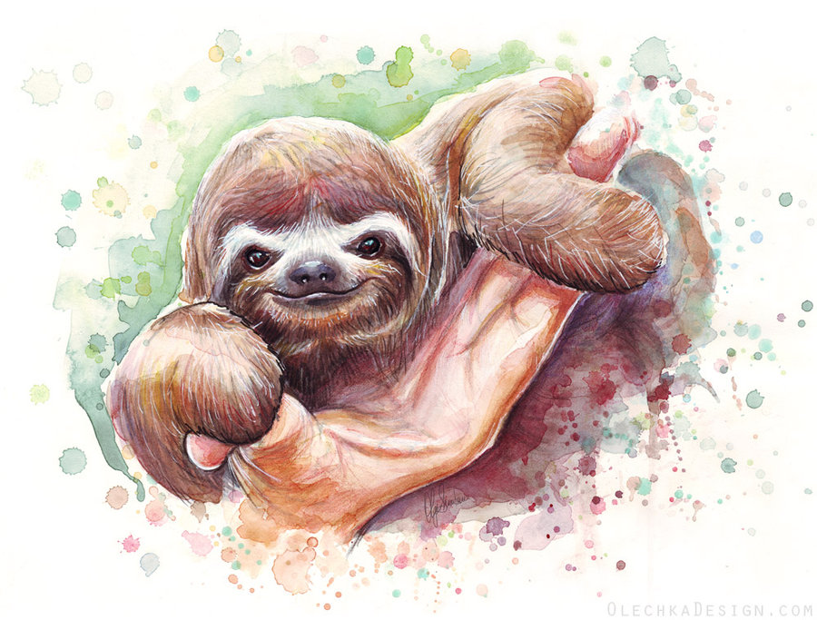 900x683 Baby Sloth Watercolor Animal Art By Olechka01
