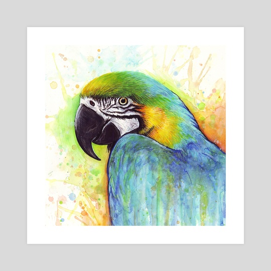 540x540 Macaw Parrot Bird Watercolor Painting, An Art Print By Olga