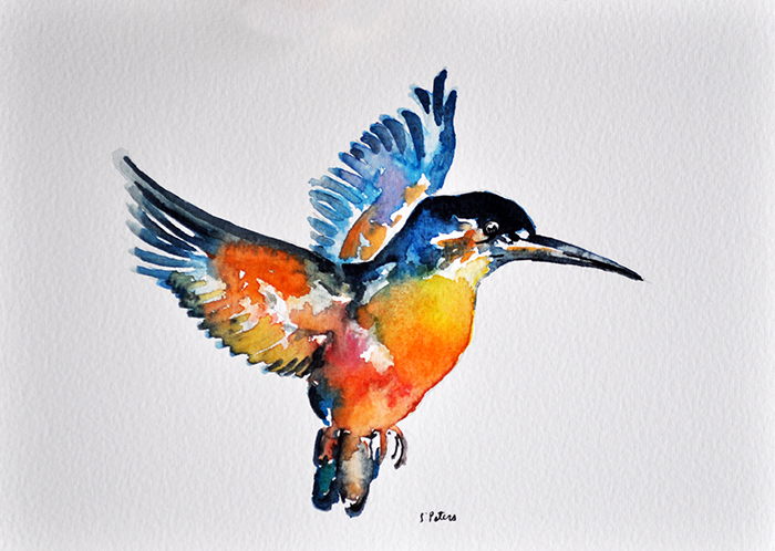 700x498 S. Peters Art Watercolor Birds