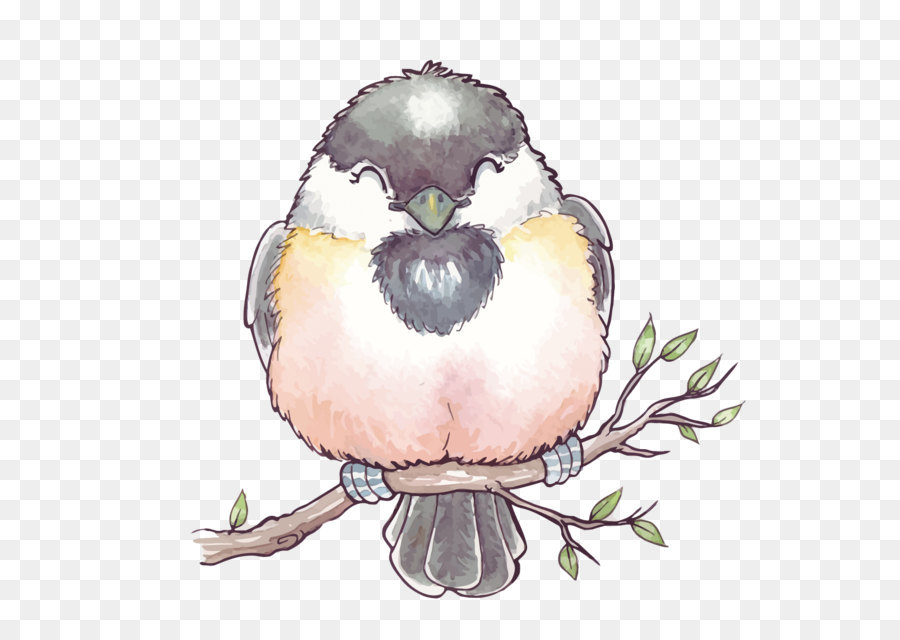 900x640 Bird Watercolor Painting