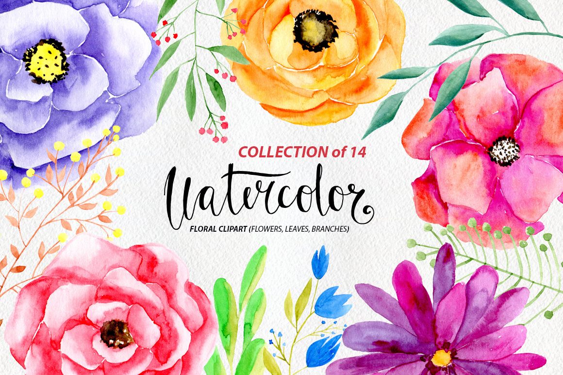 1160x772 Watercolor Flowers Png Clipart