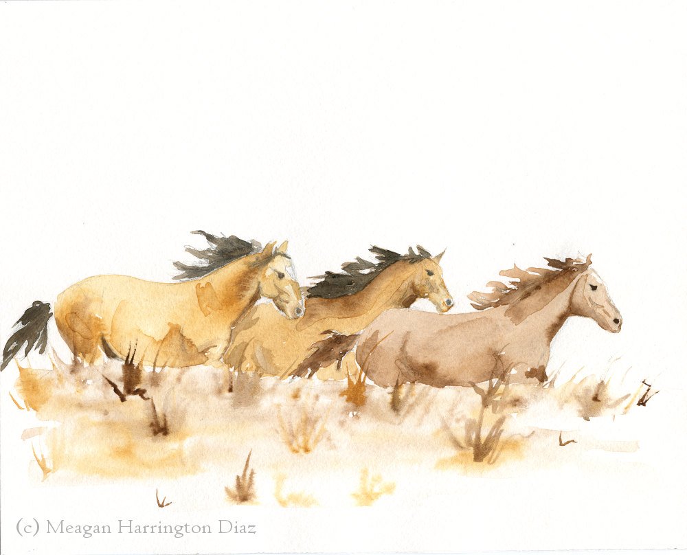 1000x808 Photos Watercolor Paintings Of Horses,