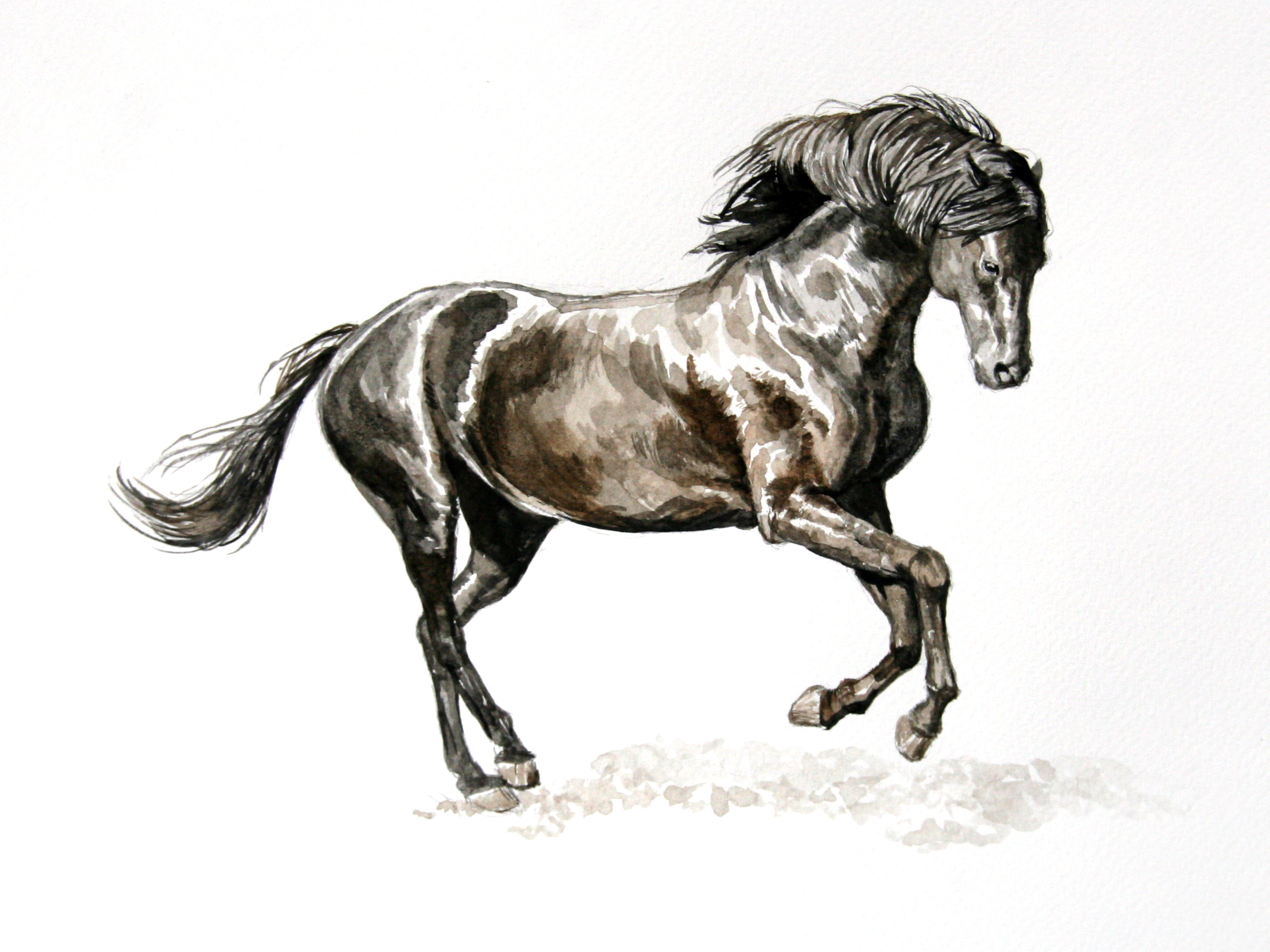 2318x1738 Watercolor Horses