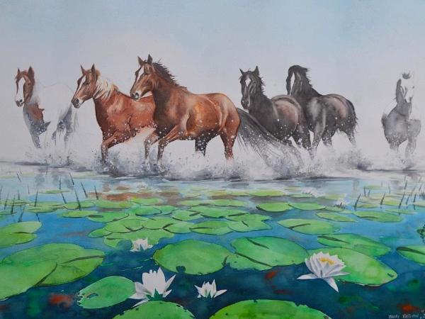 600x450 Wild Horses Of Letea (Romania), 50cm X 70cm, 2017