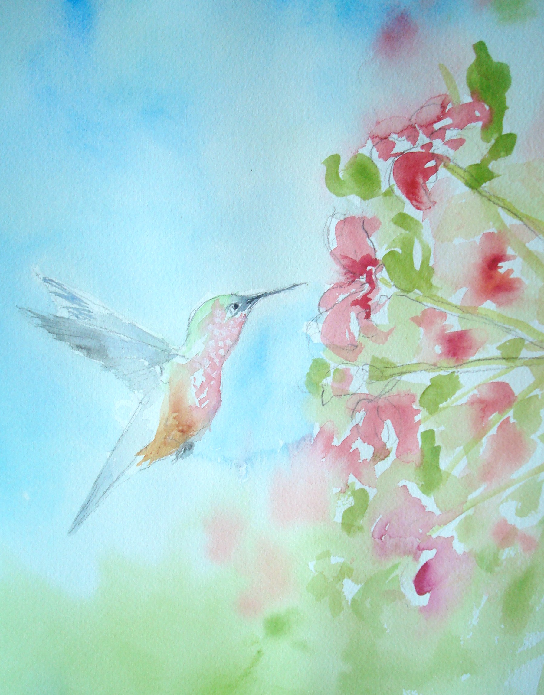 1798x2298 How To Paint A Hummingbird In Watercolor (With Pictures)