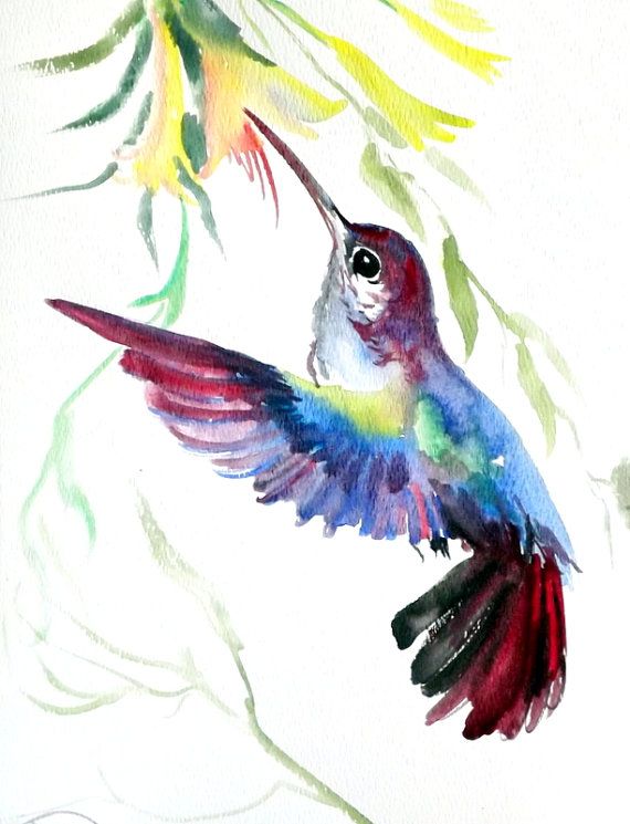 570x745 Hummingbird, Original Watercolor Painting 12 X 9 In, Flying