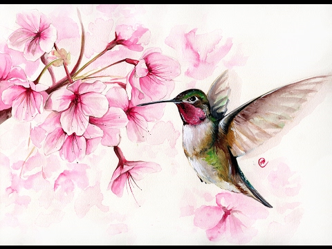 480x360 Watercolor Hummingbird And Cherry Blossom Ii Painting