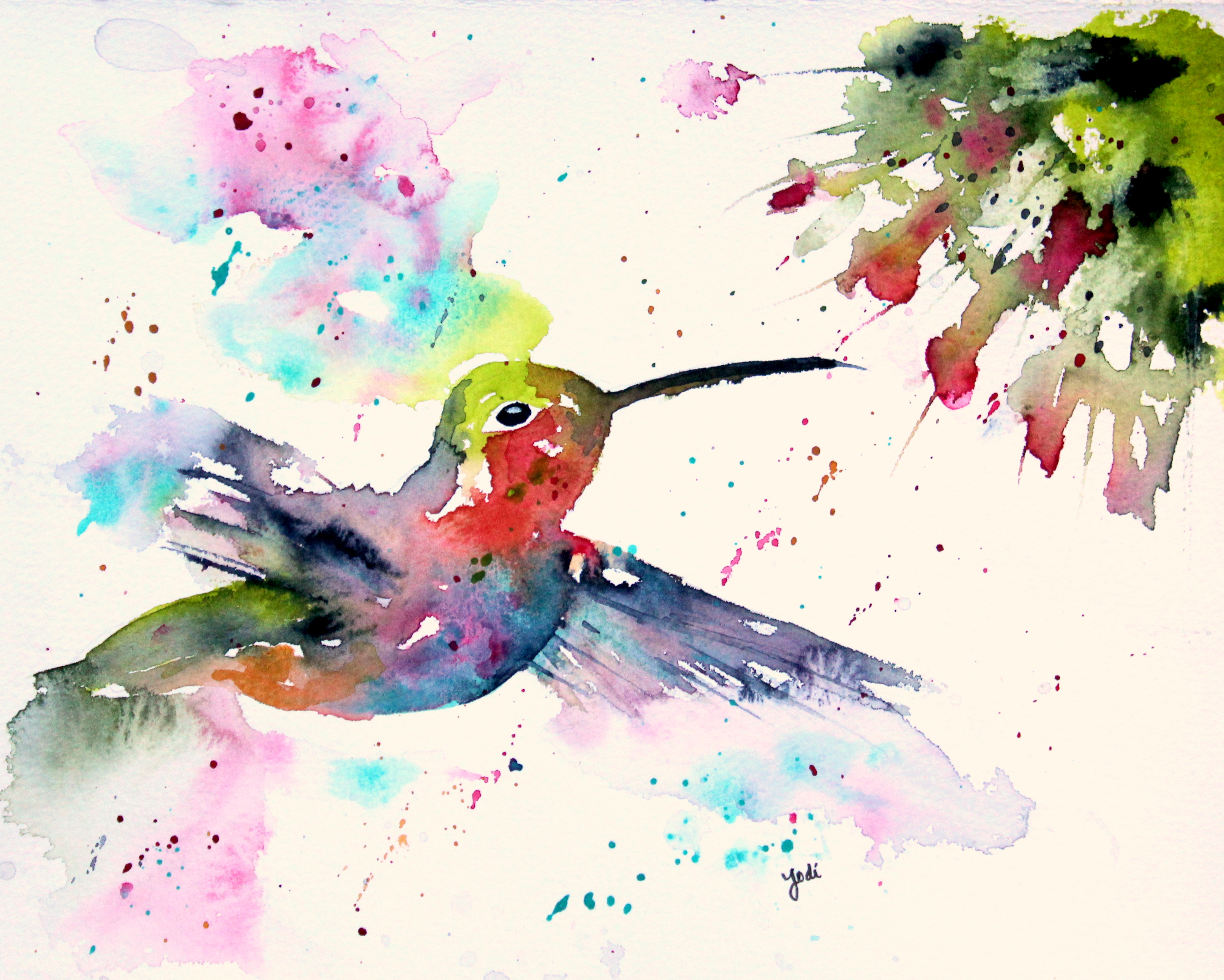 3549x2842 Hummingbird The Creative Life In Between