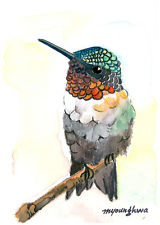 160x225 Hummingbird Art Ebay