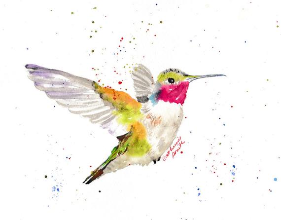570x446 Hummingbirds Watercolor Birds Watercolor Hummingbird Etsy