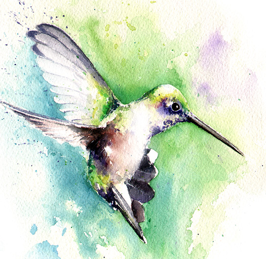 525x512 Black Chinned Hummingbird Watercolor Print Watercolor Animal