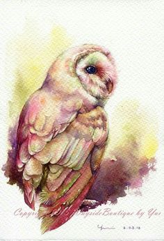 Watercolor Pictures Of Owls