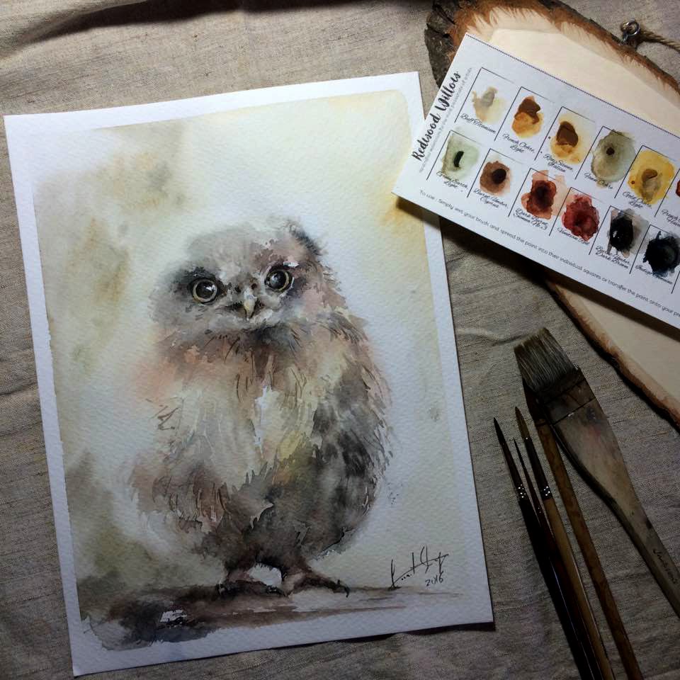 960x960 How To Paint A Watercolor Owl. Watercolour Demonstration By