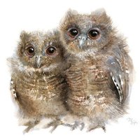 200x200 Owl Stuff