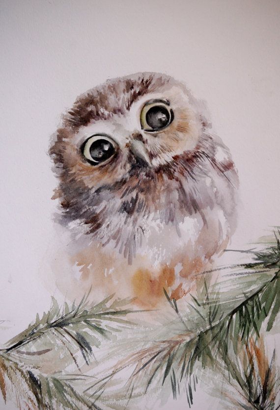 570x836 Owl Ot Galina Na Etsy Allforhappyandlove 2 Owl