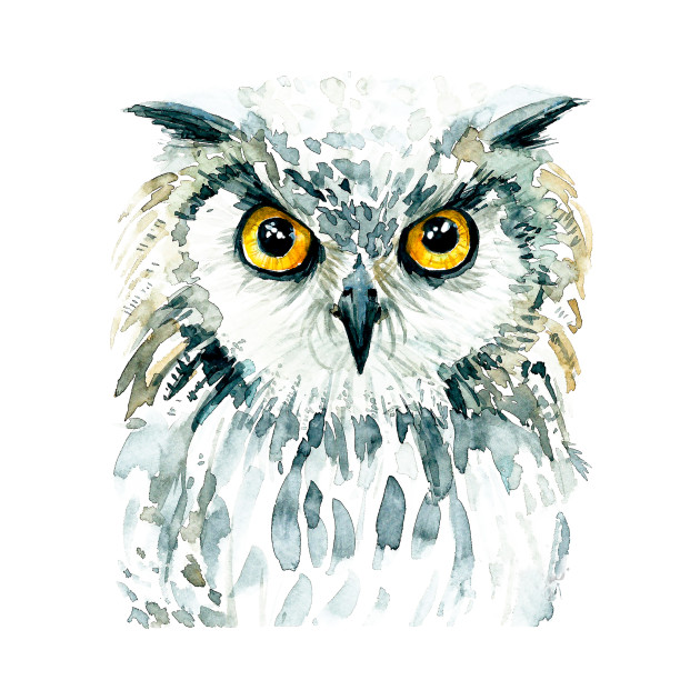 630x630 Watercolor Bubo Bubo Owl
