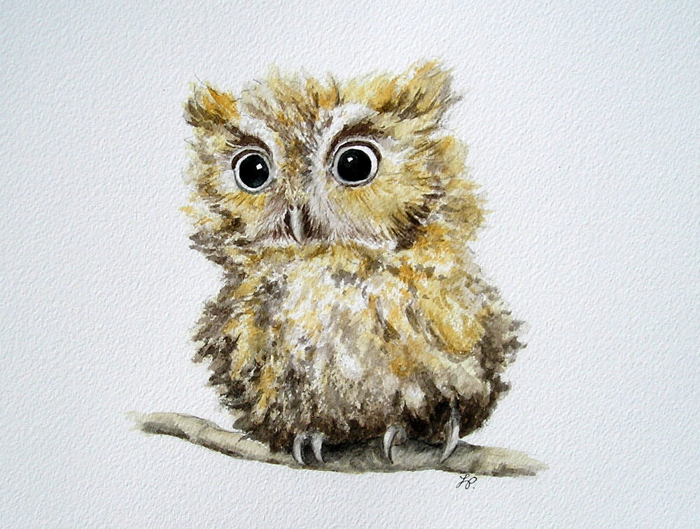 1000x757 Watercolor Journal