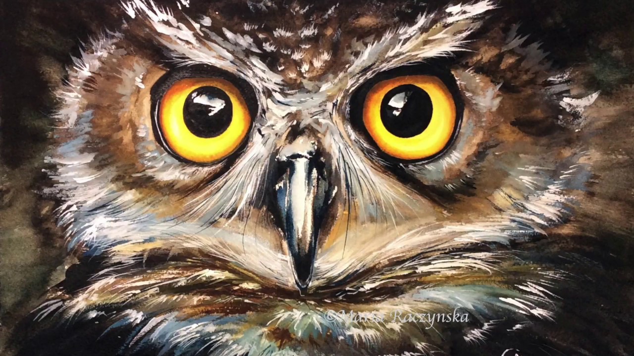 1280x720 Watercolor Owl Painting Demonstration