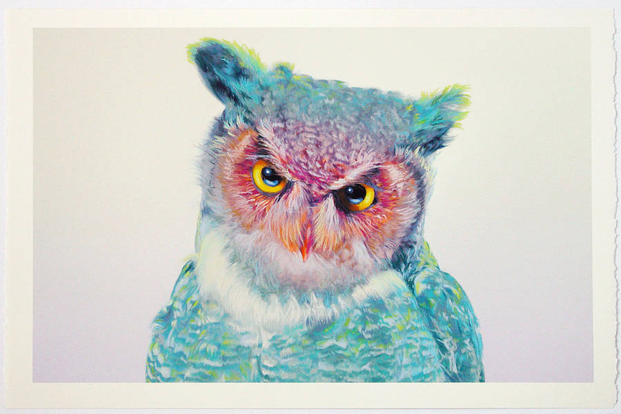900x601 Wonderful Owl Watercolor Paintings By John Pusateri 99inspiration