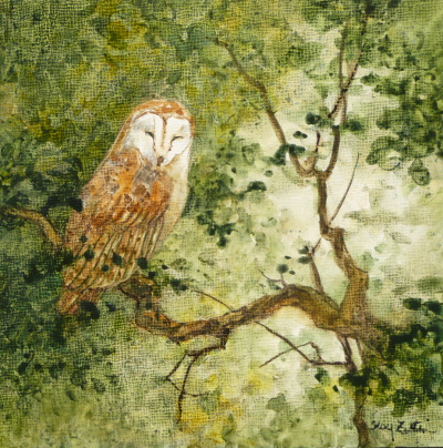 400x404 Barn Owl Watercolor Painting Floy Zittin Watercolors