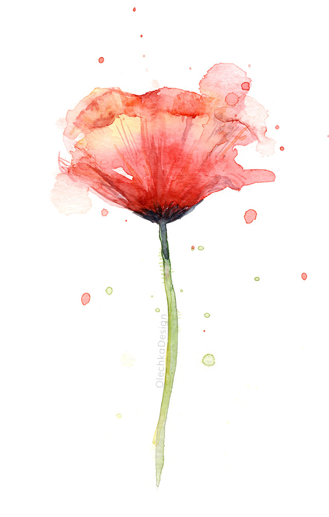 640x1007 Poppy Watercolor Olechka Design