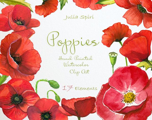 642x505 Watercolor Poppies Flowers Clipart Poppy Hand Painted Etsy