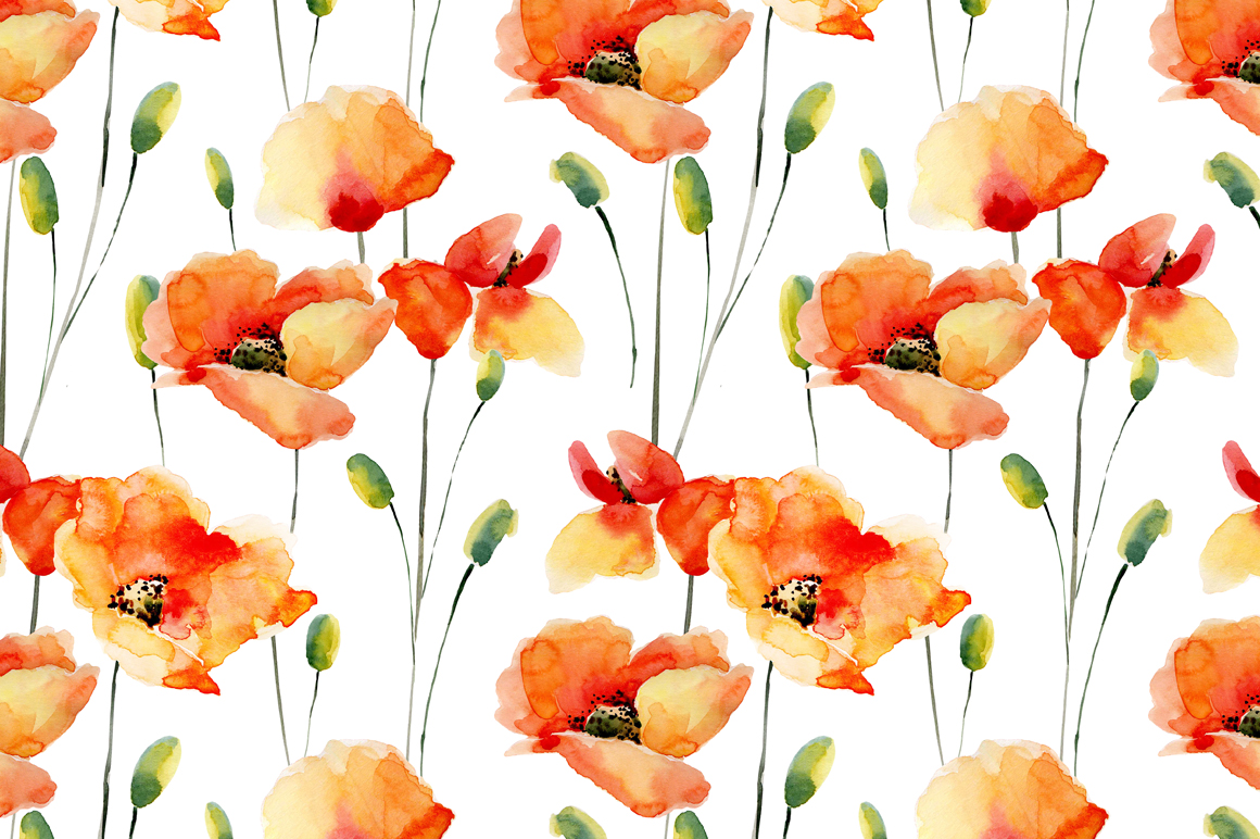 1160x772 Watercolor Poppies. Flowers Set Bonus By Colibriwatercolor