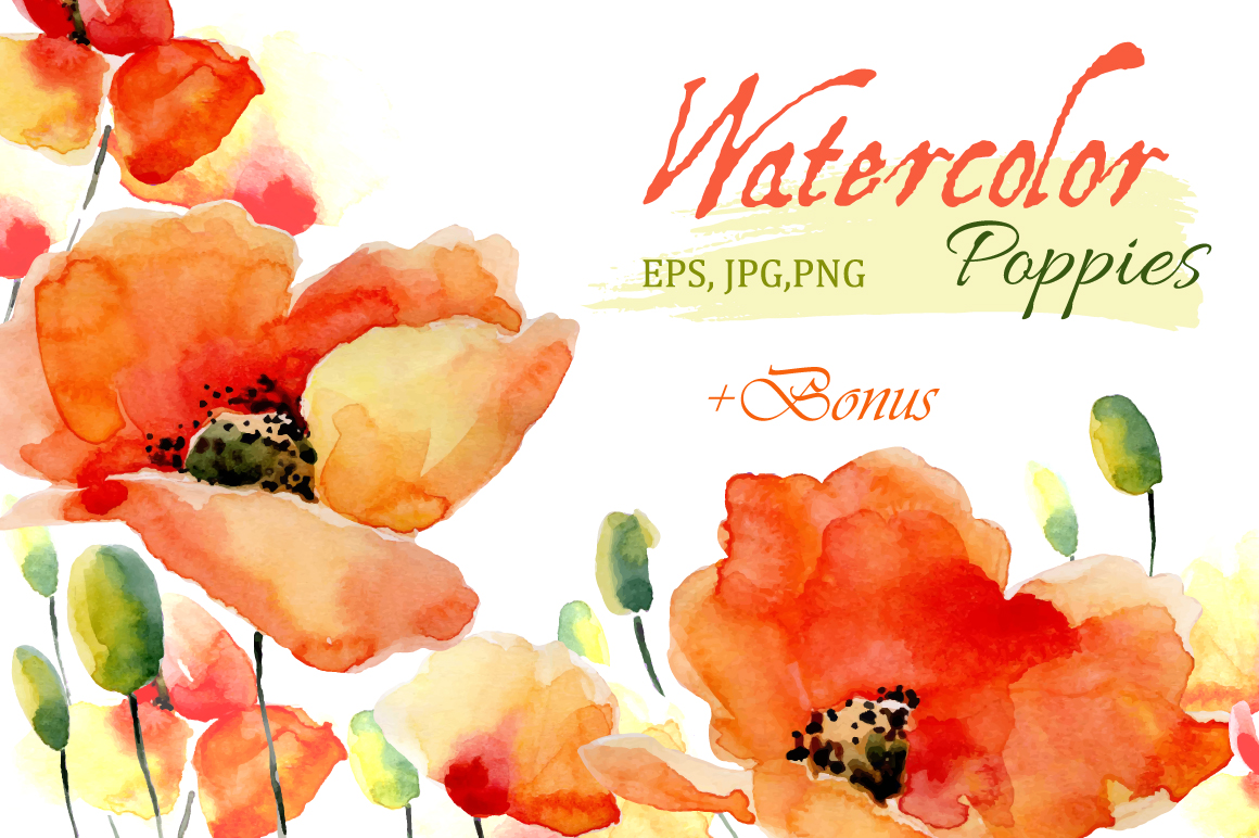 1160x772 Watercolor Poppies.flowers Set Bonus