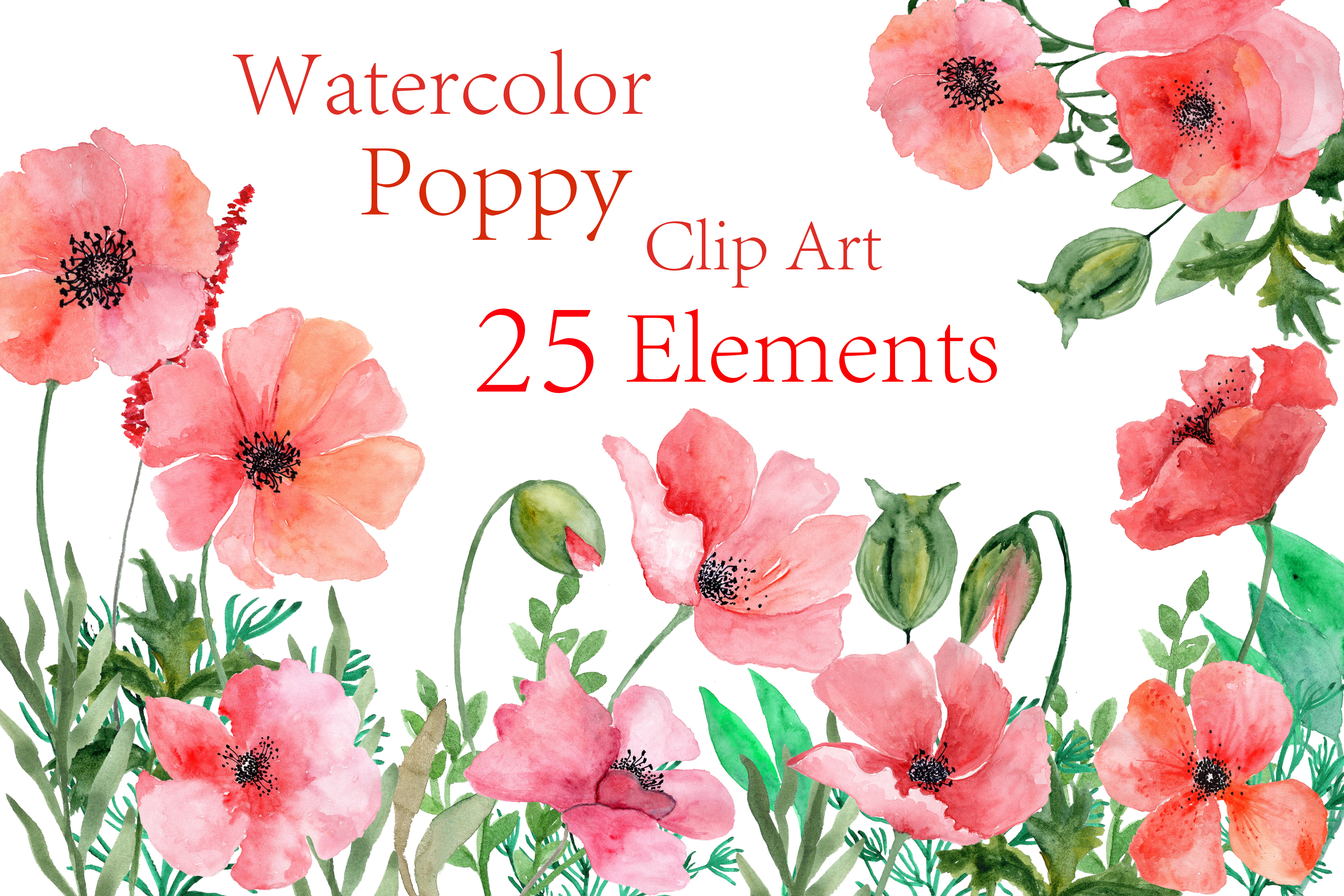 4500x3000 Watercolor Poppy Flowers Clipart