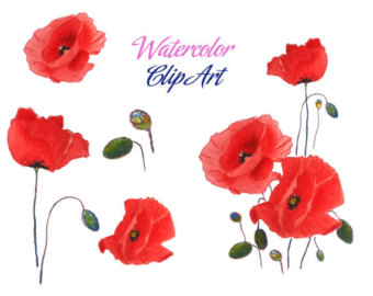 340x270 Watercolor Poppies Etsy