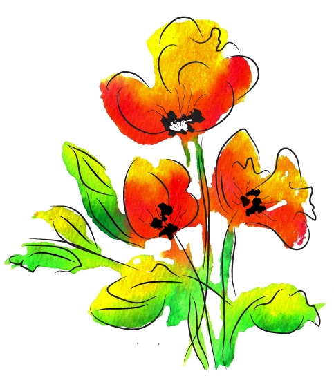 483x547 Watercolor Poppies