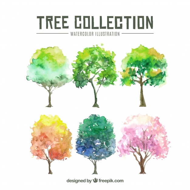 626x626 Watercolor Tree Vectors, Photos And Psd Files Free Download