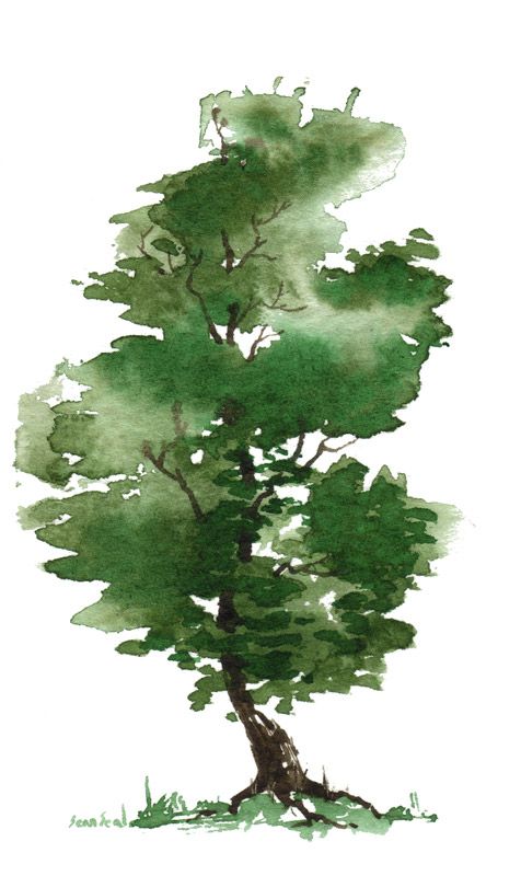 476x800 Watercolor Trees