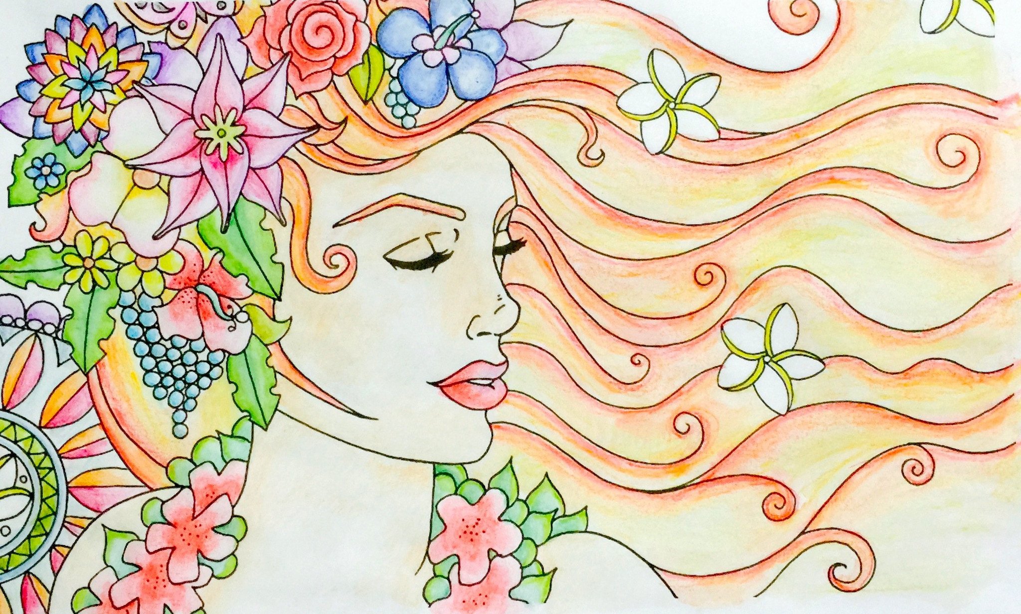 2048x1232 Colorcraft Pencils Watercolor Colored Pencils 48 Pieces