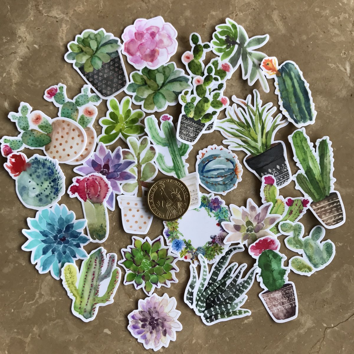 1200x1200 Super Cute Watercolor Cactus And Succulent Plants Stickers For
