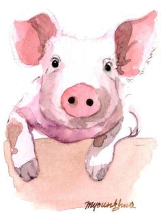 Watercolor Pig