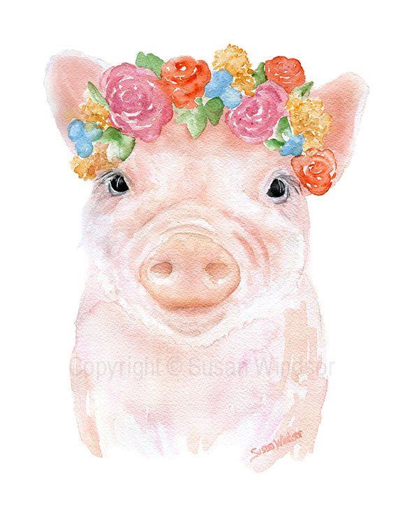 580x725 Pig Floral 1 Watercolor In 2018 Journals, Notebooks And Such