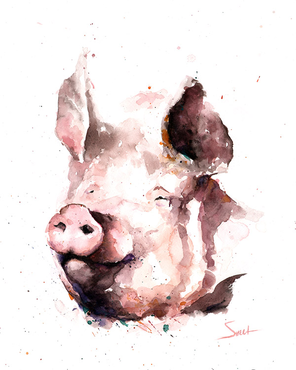 600x750 Pig Watercolor Print Watercolor Animal Paintings