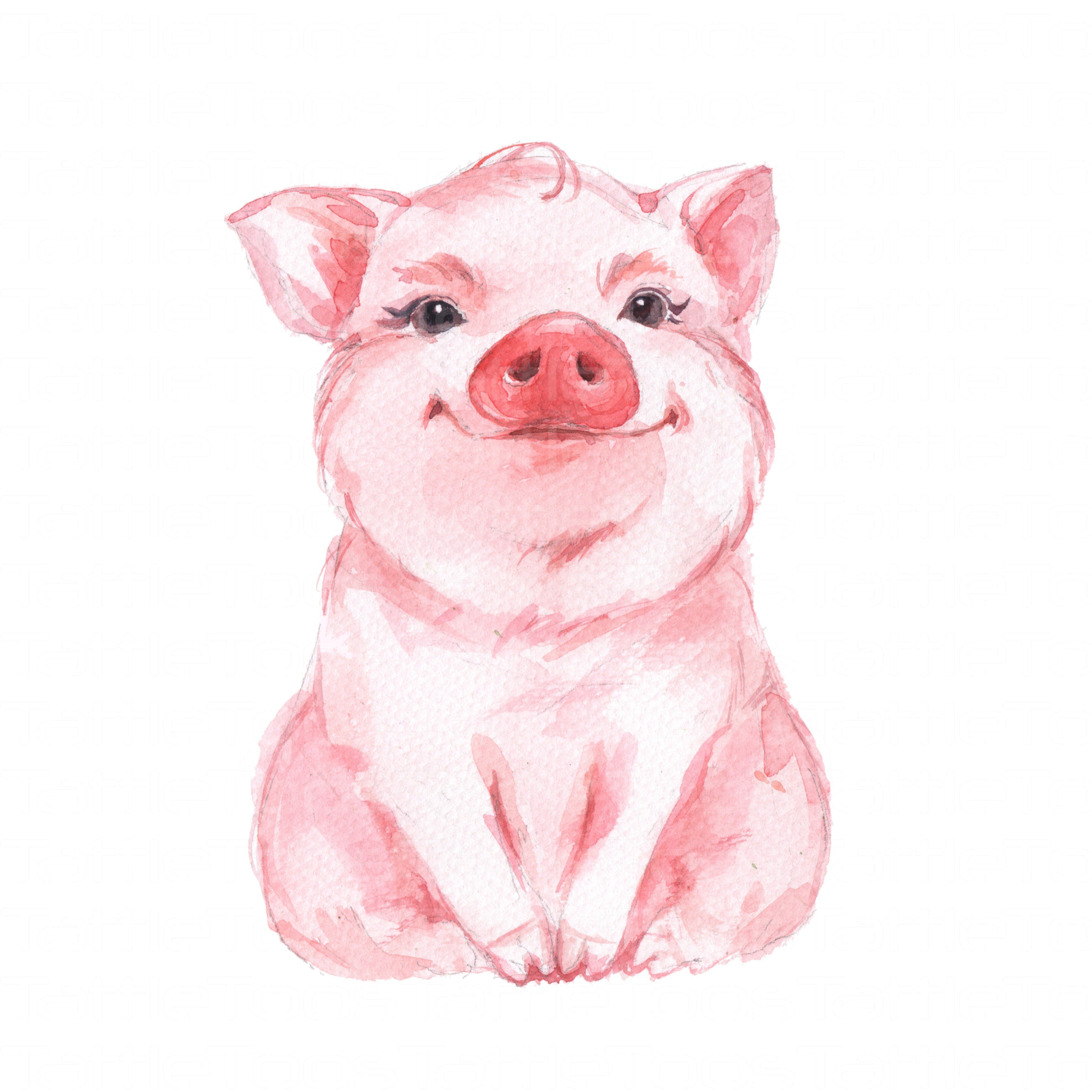 4000x4000 Pigtf 7 Drawings, Watercolor And Animal