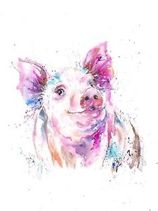 225x300 Highly Collectable Mounted A4 Giclee Art Print Watercolour Pig