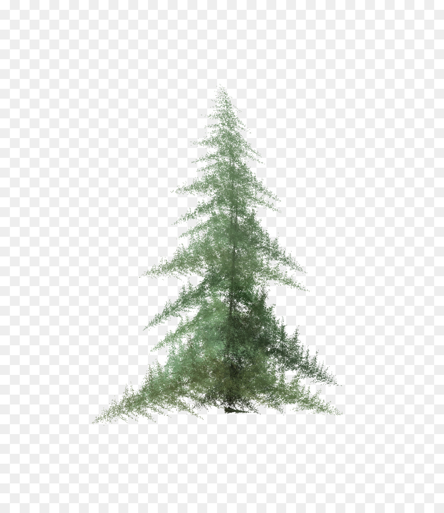 900x1040 Pine Spruce Fir Tree