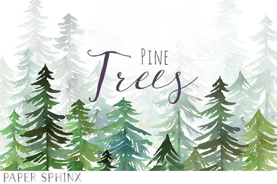 570x379 Watercolor Pine Trees Clipart Christmas Clipart Winter Etsy