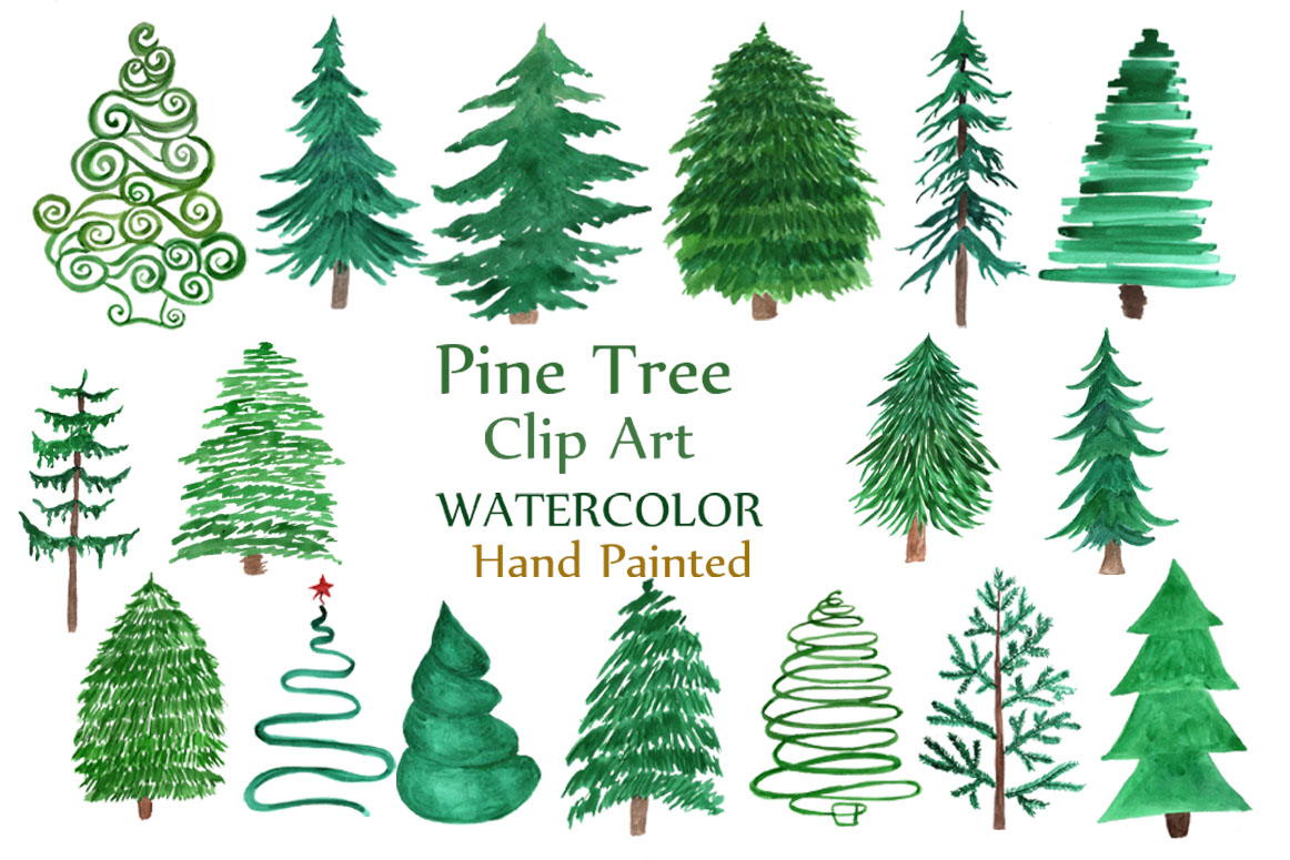 1162x775 Watercolor Pine Trees Clipart